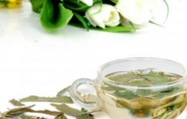 冬瓜荷叶茶有什么功效与作用 冬瓜荷叶茶有什么功效与作用及禁忌