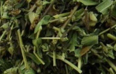 黄芩茶泡水喝有什么功效与作用 黄芩茶泡水喝有什么功效与作用及副作用