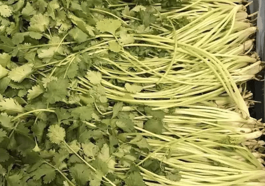 韩国大棵香菜种植技术，怎么施肥好 香菜种植肥料