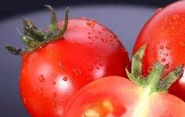 西红柿籽的功效与作用是什么 西红柿籽的功效与作用