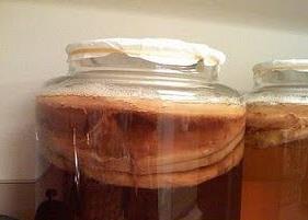 红茶菌的制作方法和功效说明 红茶菌的做法和功效
