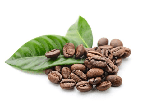 咖啡豆怎么种植 咖啡豆病害防治
