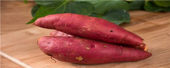 红薯生长期是多少天 红薯生长期是多少天啊