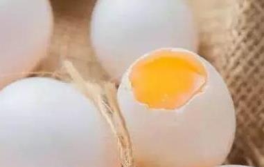 鸽子蛋的功效与作用 鸽子蛋的功效与作用、禁忌和食用方法