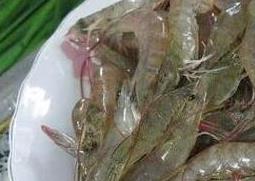 海虾和河虾有哪些区别 海虾和河虾有哪些区别呢