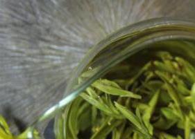 乌龙茶和绿茶什么区别 怎么区分绿茶和乌龙茶