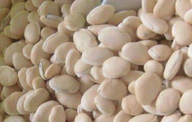 洋扁豆的功效与作用及禁忌 洋扁豆的功效与副作用