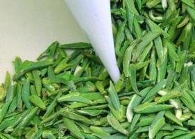 绿茶的副作用 绿茶的副作用与危害性