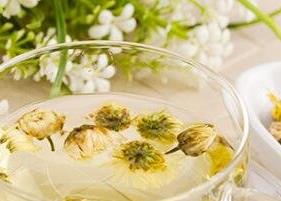 白菊花和胎菊花茶的功效与作用 胎菊花茶的功效与作用