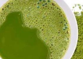 绿茶粉面膜的自制方法 绿茶粉面膜