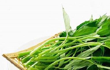 竹叶菜的功效与作用 竹叶菜的功效与作用糖尿病