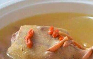 鸽子汤的功效与作用小孩子可以汤 鸽子汤的功效与作用