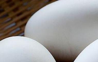 鹅蛋的功效与作用 鹅蛋的功效与作用孕妇