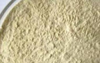 白芸豆粉的功效与作用是什么 白芸豆粉的功效与作用