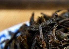 武夷山肉桂是什么茶 武夷山肉桂是什么茶树