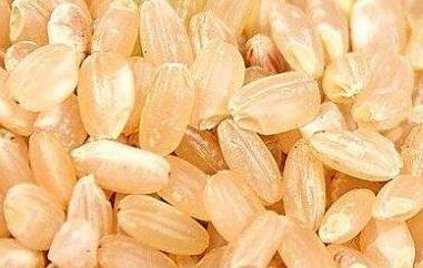 糙米的营养价值及功效 糙米有什么营养?