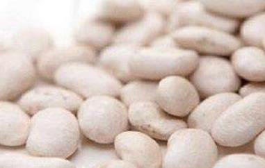 白芸豆的副作用和禁忌 白芸豆的副作用和禁忌白芸豆和醋泡黑豆能一起吃吗