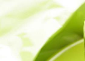 绿茶防辐射的功效与作用禁忌 绿茶防辐射的功效与作用