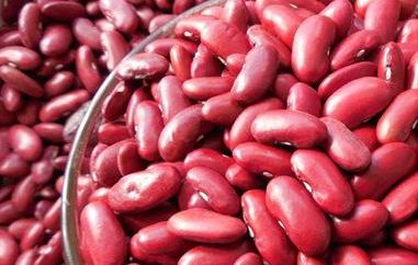 红芸豆的功效与作用 红芸豆的功效与作用及禁忌