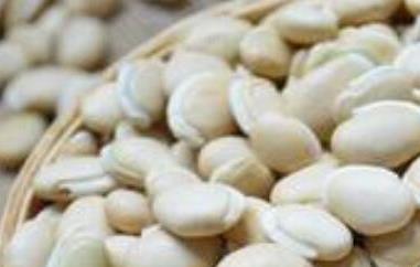 白扁豆的功效与作用 白扁豆的功效与作用及副作用