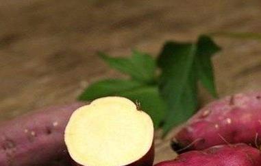 雪莲果和红薯的区别怎样区分 雪莲果和红薯的区别