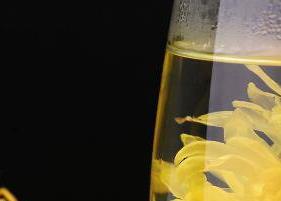 金丝皇菊的功效与作用泡水喝的功效 金丝皇菊的功效与作用
