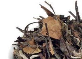 如何识别做旧的白茶树 如何识别做旧的白茶