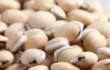 白扁豆的药用价值与功效 白扁豆的药用价值与功效与作用