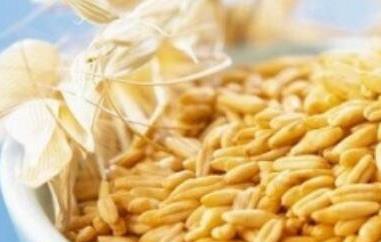 皮燕麦与裸燕麦的区别 皮燕麦和裸燕麦的区别