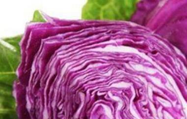 紫色包心菜的功效与作用 紫色包心菜的功效与作用图片