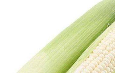白糯玉米的功效与作用及营养价值 白糯玉米的功效与作用