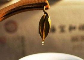 茶叶水有没有消炎的作用 茶叶水有消炎作用吗