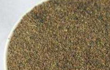 芹菜籽粉的功效与作用 芹菜籽粉的功效与作用及食用方法