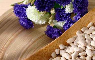 白芸豆粉的功效与作用 白芸豆粉的功效与作用禁忌