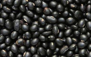 黑眉豆怎么吃 黑眉豆怎么吃最好吃