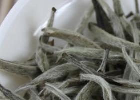 白茶的功效作用与禁忌有哪些 白茶的功效作用与禁忌