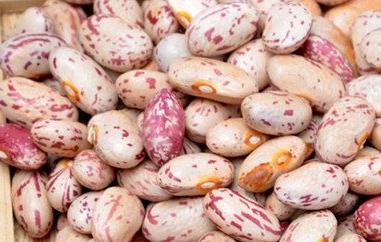 奶花豆的功效与作用 奶花豆的功效与作用及食用方法
