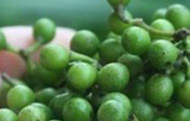 山胡椒籽的功效与作用 胡椒籽的功效与作用点