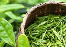 绿茶的副作用有哪些呢 绿茶的副作用有哪些