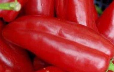 红青椒的营养价值和功效 红青椒的营养价值