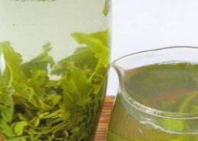 绿茶的功效与作用 绿茶的功效与作用禁忌