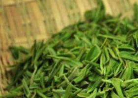 毛尖绿茶的功效与作用是什么 毛尖绿茶的功效与作用