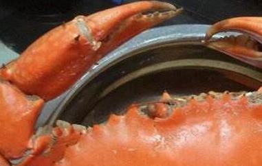 煮螃蟹和蒸螃蟹的区别 是蒸螃蟹还是煮螃蟹