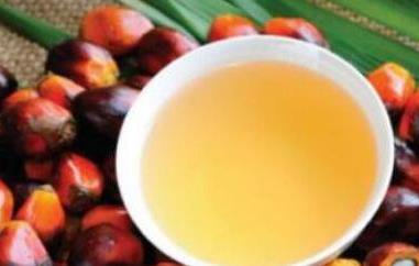 棕榈油的功效与作用及副作用 棕榈油的功效和副作用