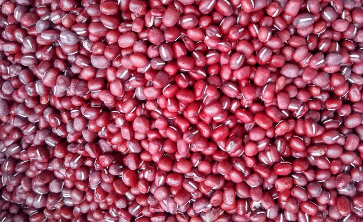 红小豆如何栽培，种植红小豆的要点是什么