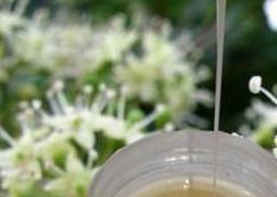 鸭脚木蜂蜜的功效与作用及禁忌 鸭脚木蜂蜜的功效与作用及禁忌图片