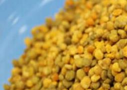 荞麦花粉的功效与作用 荞麦花粉的功效与作用及食用方法价格