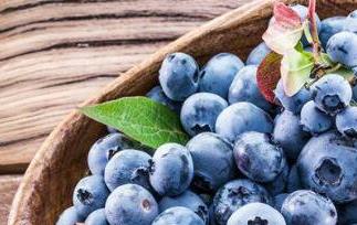 杜松浆果和蓝莓的区别 杜松浆果是蓝莓吗