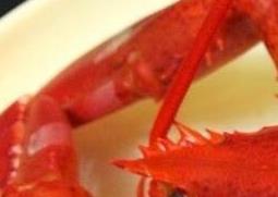 波士顿龙虾的营养价值 波士顿龙虾的营养价值及副作用