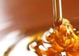 黄连蜂蜜的作用与功效 黄连蜂蜜的作用与功效禁忌